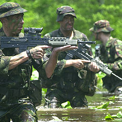 фото "Swamp Patrol, USA"