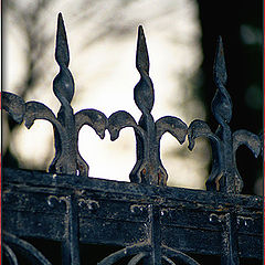 photo "The Gate - Forbidden Religion"