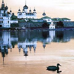 photo "Monastery duck"