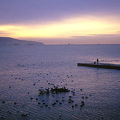 фото "Morning in a bay."