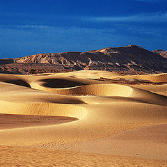 фото "Sand Dunes#2"