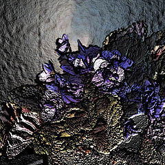 photo "Untitled photo"