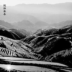 фото "late spring of long sheng"