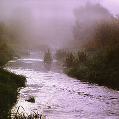 photo "Foggy morning"