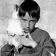 photo "The child and the hen"