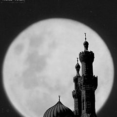 photo "Special Moon"