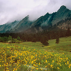 фото "Spring Storm Receeds"