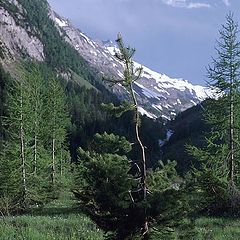 photo "Light and shadows in a small valley"