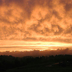 photo "Gold Rush"
