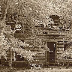 photo "An Old Cabin"
