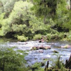 photo "By the River"