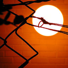 фото "Artificial sun behind a prisoner`s fence"