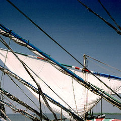 photo "Sails&Masts"