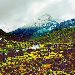 фото "Snowy mountain`s autumn"