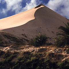 фото "Sand Dunes#5"