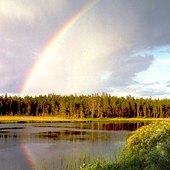 photo "Rainbow"