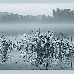 photo "Evening fog in center of my city"