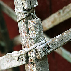 photo "Idle curiousity#01 (wallpainter`s scaffold)"