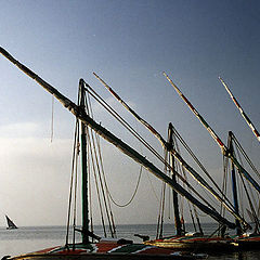 photo "Fishing Boats"