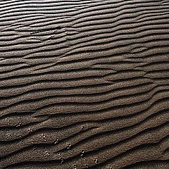 photo "Sand Ripples"