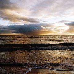 фото "Summer Storm"