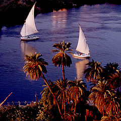 photo "Nile at Aswan"