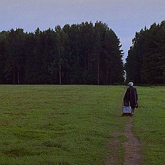 photo "old man walking down the field"