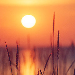 photo "Ladoga lake. Sunrise."