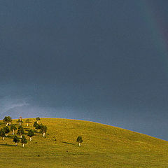 фото "Rangeland in sprinkle"