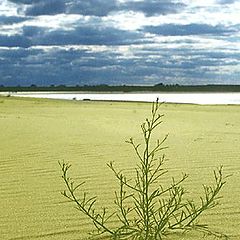 photo "Sand in the river Volga"