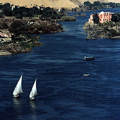 фото "The Nile"