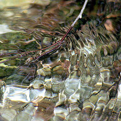 photo "A lot of the Sun in the cold water"