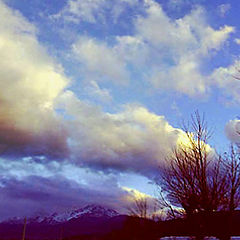 photo "Cloud & Tree"
