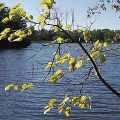 photo "Turning With the Seasons"