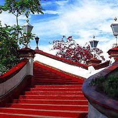 photo "Steps In Color"
