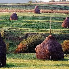 фото "Maramures landscape V"