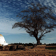 photo "Rural Scene"