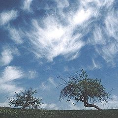 фото "Maramures landscape VI"