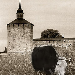 photo "Landscape with cow"