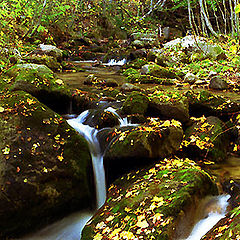 photo "The Autumn is coming"