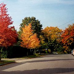 фото "Discovery street"