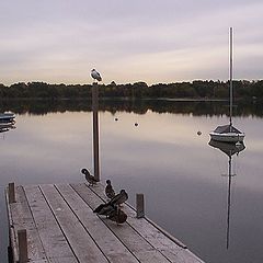 photo "Once upon a time at a lake in the morning.1"