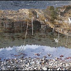 фото "Puddle"