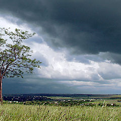 photo "The waiting of storm"