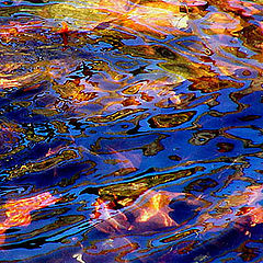 фото "Autumn "Waters"..."