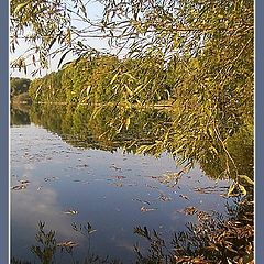 photo "Once upon a time at a lake in the morning.6"