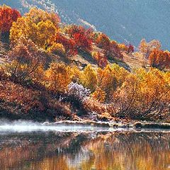 photo "From a series " the Caucasian autumn ""