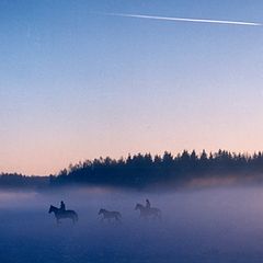 фото "В ночное"