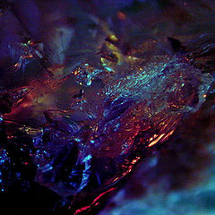 photo "Frozen Abstraction"