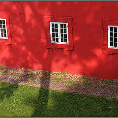 photo "White windows, shadows of trees"